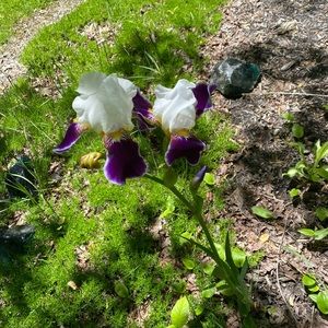 Meet your Posher, Eva